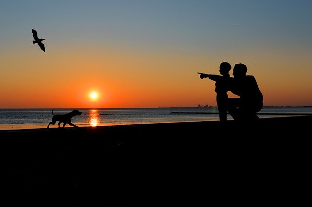 sunset-4546491_640.jpg